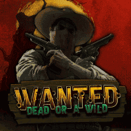 Wanted Dead or a Wild